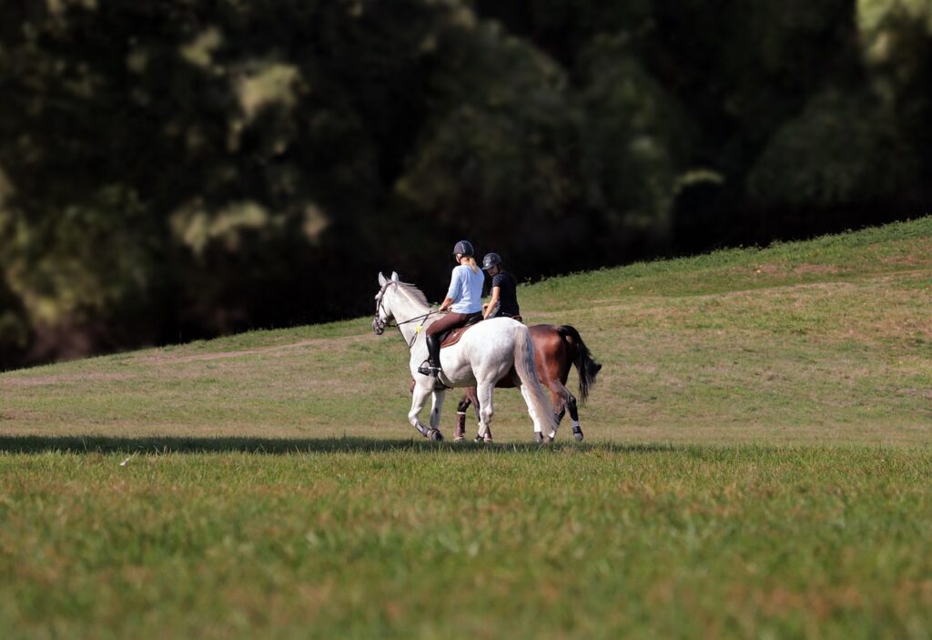 ride out, horse riding, equestrian-3788373.jpg